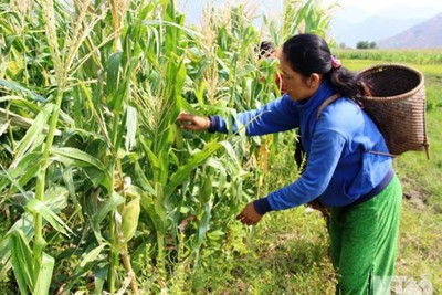 Sửa đổi quy định ghi nợ tiền sử dụng đất