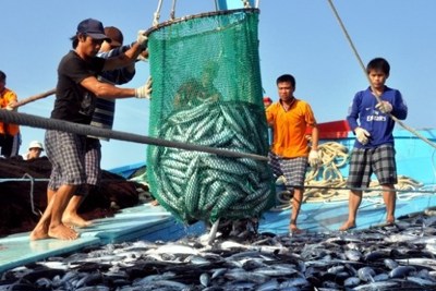 Chờ đợi “thẻ vàng” được gỡ
