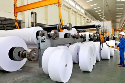 Xây dựng định mức, lập dự toán chi phí trong các doanh nghiệp sản xuất giấy khu vực miền Bắc và miền Trung
