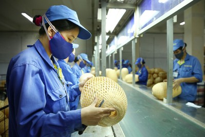 Nhân tố ảnh hưởng tới sự tham gia của doanh nghiệp nhỏ và vừa Việt Nam trong chuỗi giá trị toàn cầu
