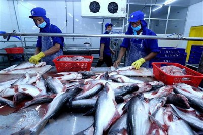 Hoàn thiện kế toán quản trị hàng tồn kho trong các doanh nghiệp ngành Thủy sản tại Việt Nam 