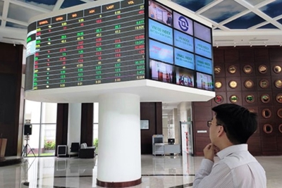 Cấu trúc kỳ hạn nợ của các công ty bất động sản niêm yết trên Sàn Giao dịch Chứng khoán TP. Hồ Chí Minh