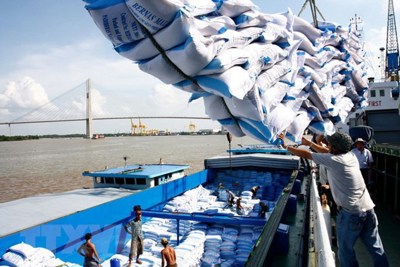 Xuất khẩu gạo 11 tháng năm 2019 đạt 5,91 triệu tấn