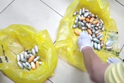 Lực lượng Hải quan phát hiện nhiều vụ vận chuyển ma túy