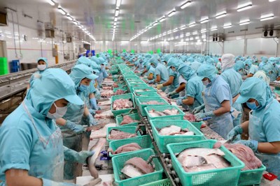 Cá tra vẫn loay hoay tìm thị phần tại thị trường nội địa