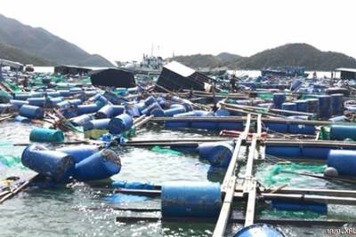 Khánh Hoà đề xuất khoanh nợ cho hộ dân bị thiệt hại nặng do thiên tai