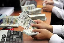 Giải pháp hạn chế tình trạng đô la hóa trong nền kinh tế Việt Nam