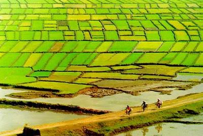 Thu xếp nguồn vốn 1 tỷ USD cho phát triển bền vững Đồng bằng sông Cửu Long