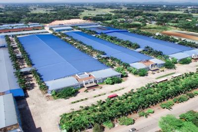 Nhu cầu bất động sản công nghiệp tăng cao