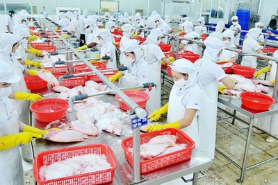 Nhiều hỗ trợ cho doanh nghiệp Việt Nam xuất khẩu vào Mỹ