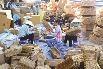 Phát huy vai trò, vị thế kinh tế tập thể trong nền kinh tế quốc dân