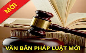 Chính sách mới có hiệu lực từ tháng 1/2019