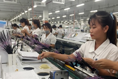 Tuyên Quang hỗ trợ doanh nghiệp nâng cao năng suất chất lượng sản phẩm 