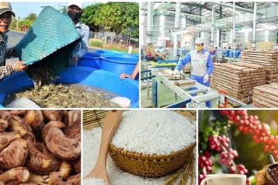 Xuất khẩu nông sản đón nhiều tin vui