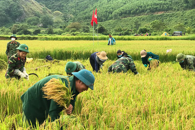 Xây dựng kinh tế gắn với chăm lo đời sống đồng bào dân tộc thiểu số