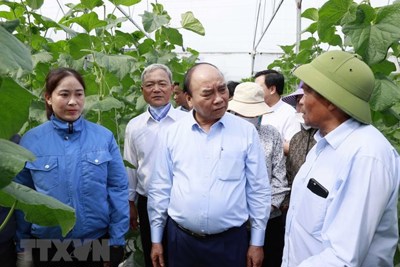 Chủ tịch nước thăm, tặng quà Hội Người cao tuổi Hải Dương