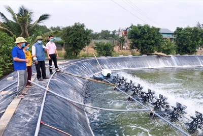 Thoát nghèo bền vững từ nguồn vốn ưu đãi