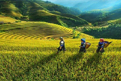 Giám sát, kiểm tra thực hiện Chương trình mục tiêu quốc gia phát triển kinh tế - xã hội vùng đồng bào dân tộc thiểu số và miền núi