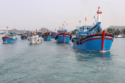 Khả năng gỡ thẻ vàng IUU vẫn là ẩn số