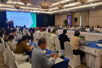 Thu hút vốn đầu tư qua hình thức hợp đồng đối tác công - tư