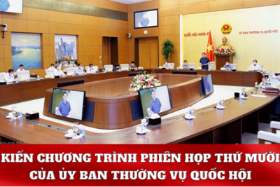 Chương trình Phiên họp thứ Mười ba của Ủy ban Thường vụ Quốc hội