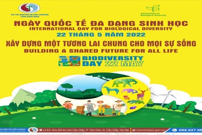 Ngày Quốc tế đa dạng sinh học (22/5): Xây dựng một tương lai chung cho mọi sự sống.
