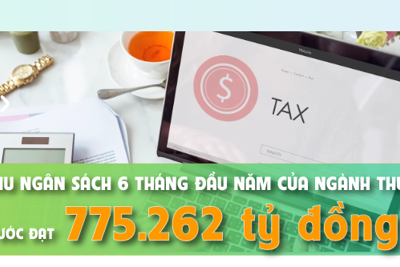 Thu ngân sách nhà nước toàn ngành Thuế ước đạt 775.262 tỷ đồng trong 6 tháng đầu năm