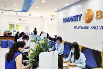 6 tháng đầu năm, lợi nhuận trước thuế của BAOVIET Bank tăng 56,8% so với cùng kỳ năm trước