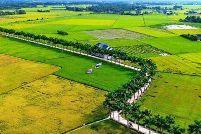 Bộ Tài chính thực hiện Phong trào thi đua “Cả nước chung sức xây dựng nông thôn mới” 
