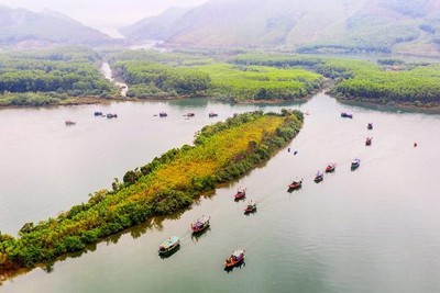 Nền kinh tế sẽ tiếp tục phục hồi mạnh mẽ