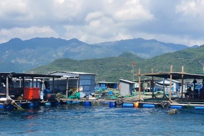 Tín hiệu tích cực phục hồi và phát triển ngành Du lịch