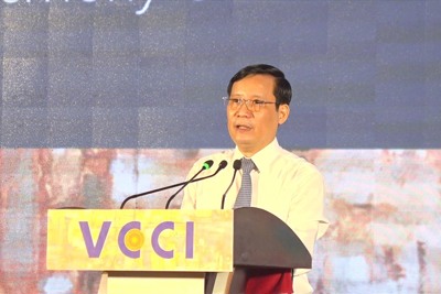 Kinh tế vùng Đồng bằng sông Cửu Long trước thử thách của 3 "vòng xoáy"