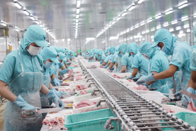 EVFTA đã lan tỏa đến nhiều nhóm dân cư yếu thế