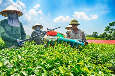 Đồng hành cùng các mô hình kinh tế tập thể