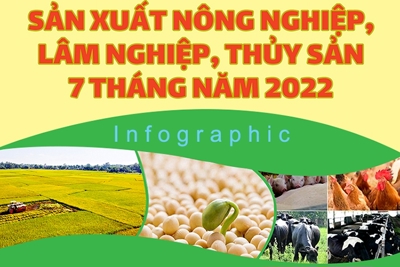 Sản xuất nông, lâm nghiệp, thuỷ sản 7 tháng năm 2022