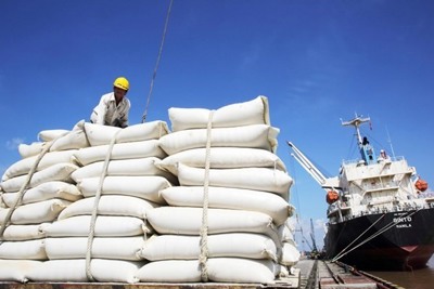 Gạo Việt Nam trước vận hội mới