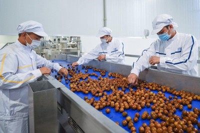  Cải cách môi trường kinh doanh đang chững lại 