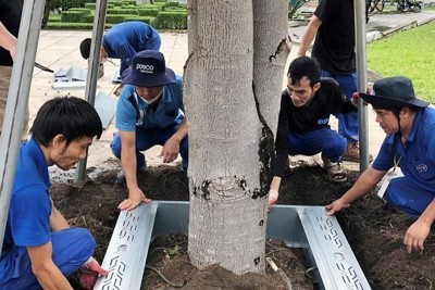 Kinh tế tuần hoàn - hướng phát triển bền vững của Bà Rịa - Vũng Tàu