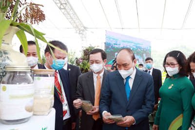Đổi mới chính sách, pháp luật đất đai, phục vụ phát triển nông nghiệp, nông dân, nông thôn theo hướng hiện đại, bền vững