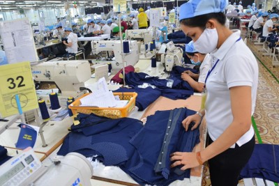 Giải pháp nào để xuất khẩu hàng hóa bền vững?