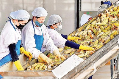 Xác định các ngành kinh tế có lợi thế phát triển trong cơ cấu kinh tế Việt Nam dưới tác động của các hiệp định thương mại tự do thế hệ mới