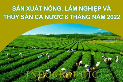 Sản xuất nông, lâm nghiệp và thủy sản cả nước 8 tháng năm 2022