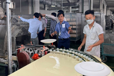 Đắk Nông đẩy mạnh nâng cao năng suất chất lượng cho doanh nghiệp