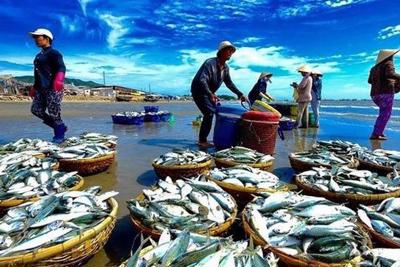 Xây dựng chuỗi giá trị thủy sản bền vững
