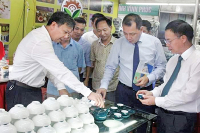 Điểm sáng trong chuyển dịch cơ cấu kinh tế nông thôn