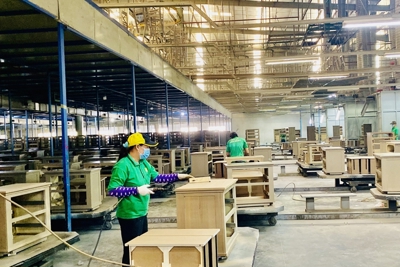 Bình Dương: 14/34 chỉ tiêu kinh tế đạt và vượt so với kế hoạch năm