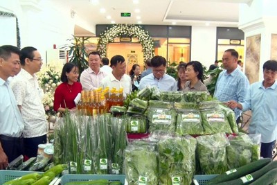 Sản xuất nông nghiệp theo hướng kinh tế tuần hoàn