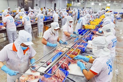 Việt Nam trước khó khăn, thách thức của kinh tế thế giới