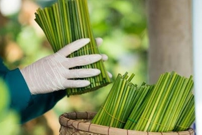 Mua sắm công xanh: Cái gì dễ làm trước!