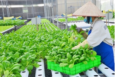Phải xuất phát từ nhu cầu thực sự của nhân dân và phù hợp với điều kiện thực tiễn